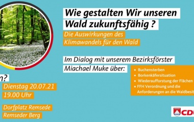 CDU Fokus: Wald