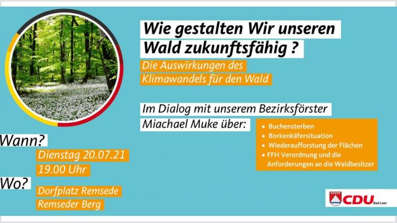 CDU Fokus: Wald CDU Fokus: Wald